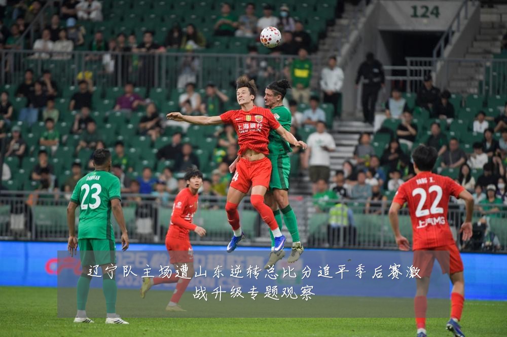 辽宁队主场遭山东逆转总比分追平季后赛激战升级专题观察
