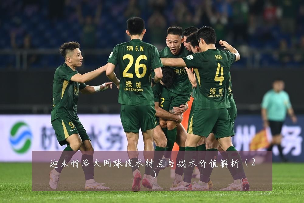 迪米特洛夫网球技术特点与战术价值解析(2)